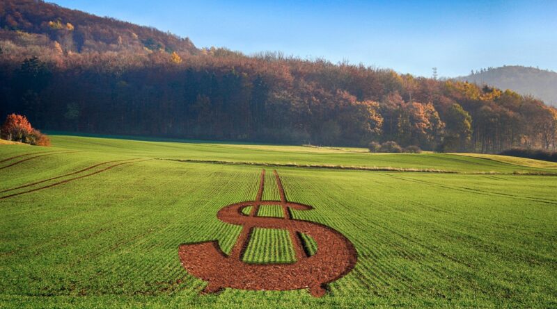 Governo libera R$ 179 milhões para o seguro rural e define recursos para 2025