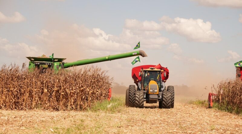 Área de soja para a safra 25/26 cresce 'na teoria', mas desânimo toma conta do campo; saiba onde
