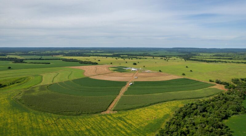 Alternativas para solos siltosos auxiliam produtores para maior segurança produtiva em MT