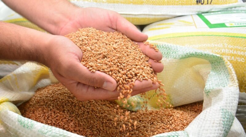 Preços globais de alimentos têm leve retração em setembro