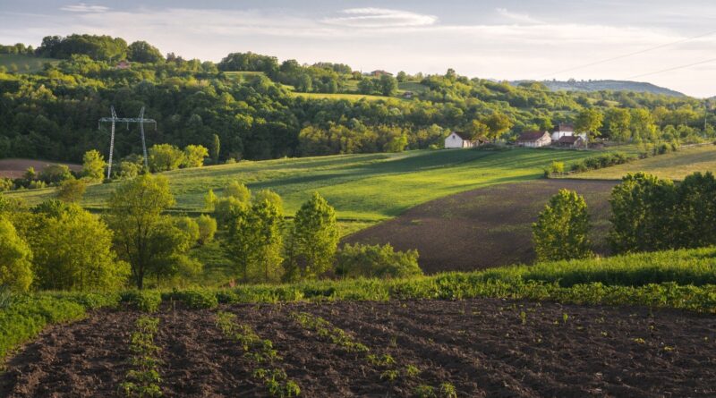 Evento virtual da Embrapa destacará soluções sustentáveis para a indústria de alimentos