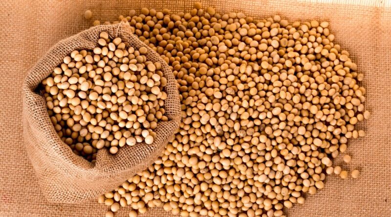 Acordo EUA-China impulsiona soja na bolsa de Chicago, aponta consultoria