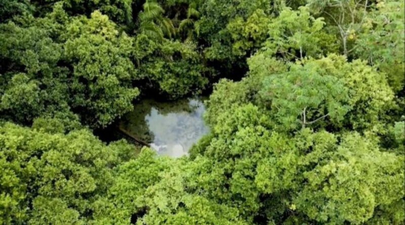 Com água e comida abundantes, Brasil pode liderar segurança alimentar global