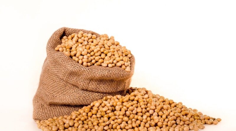 Sem compras robustas de soja pela China, Chicago demonstra cautela