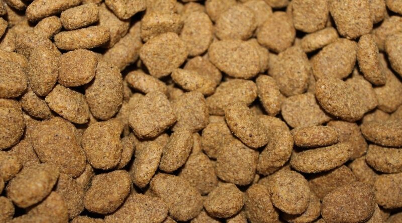 Produção de rações cresce 2% e chega a 66,5 milhões de toneladas em 2025