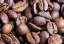 Produção de café cresce 4,3% em 2025 e exportações batem recorde