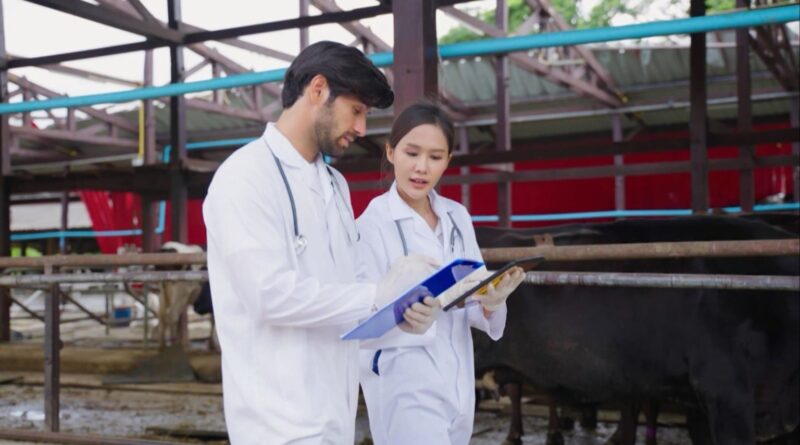 médico veterinário garante segurança alimentar no estado; entenda